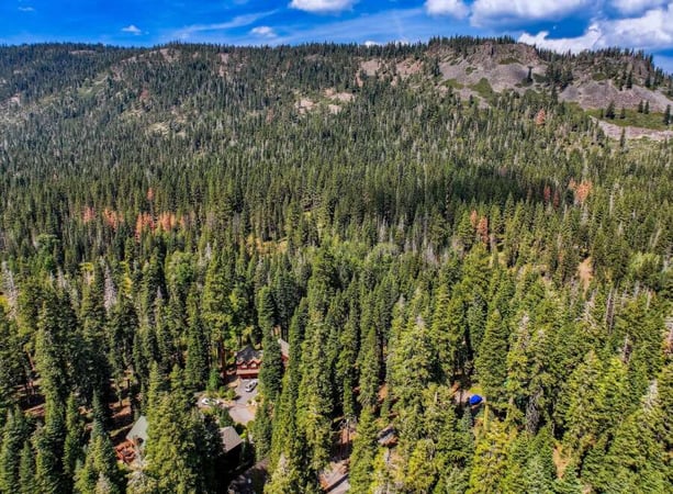 House in Homewood - view 1