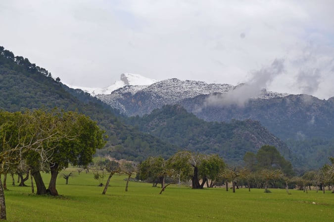 Land in Campanet - view 1