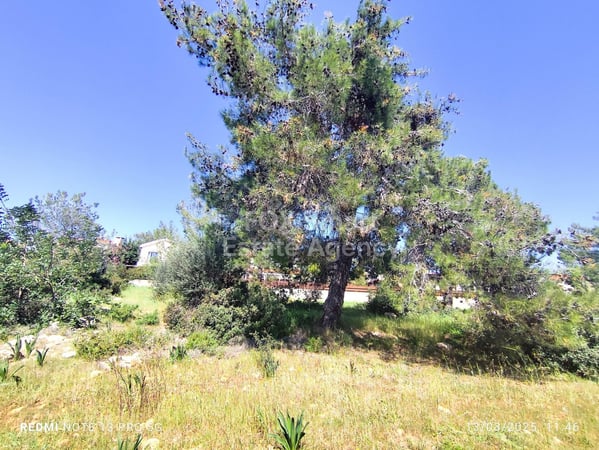 Land in Souni - view 1