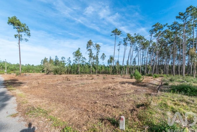 Land in Monte Redondo - view 1