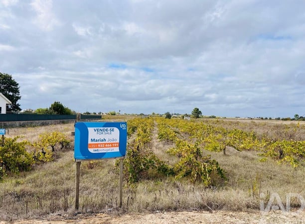 Land in Alpiarca - view 1