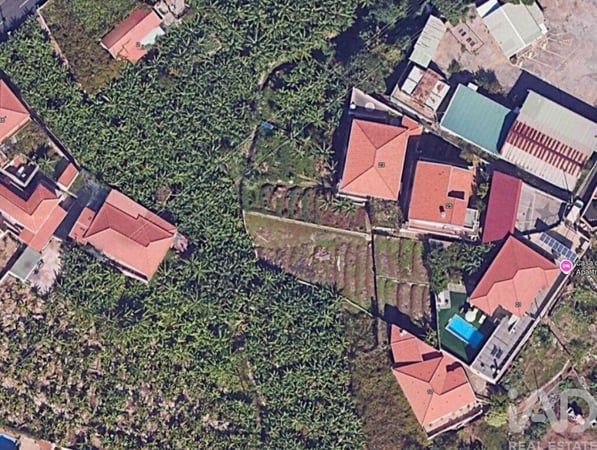 Land in Sao Martinho - view 1