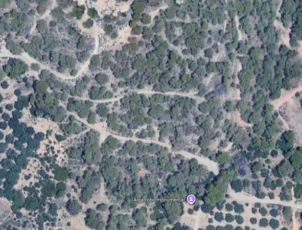 Land in l'Alfas del Pi - view 1