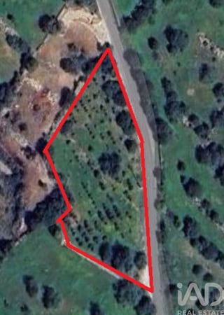 Land in Estoi - view 1