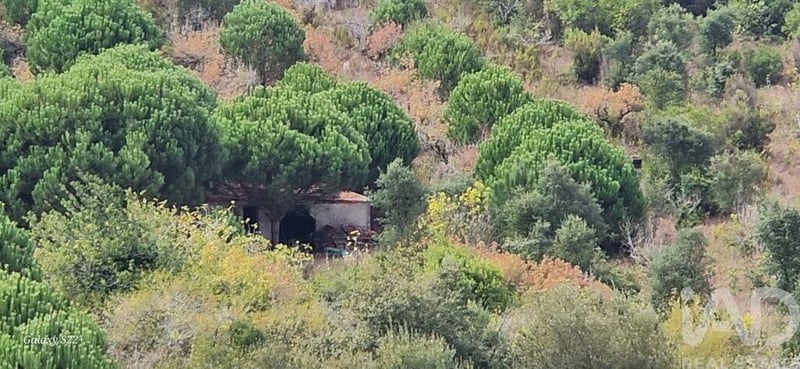 Land in Azueira - view 1