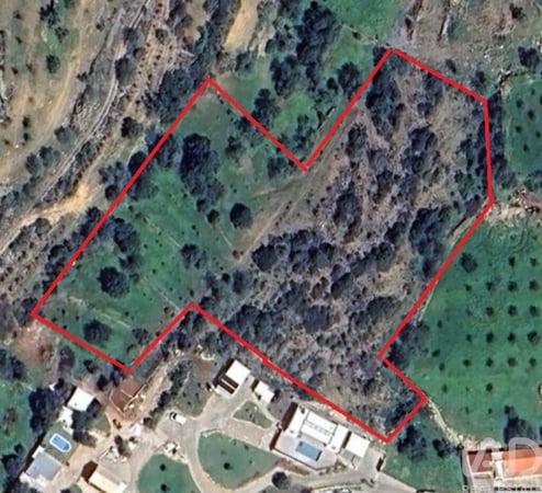 Land in Estoi - view 1