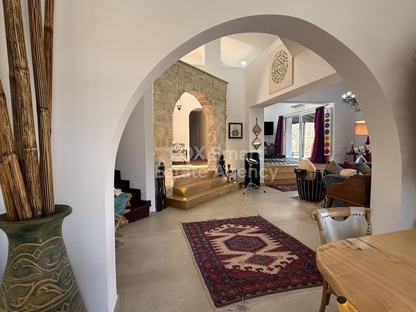 House in Akrounta - view 1