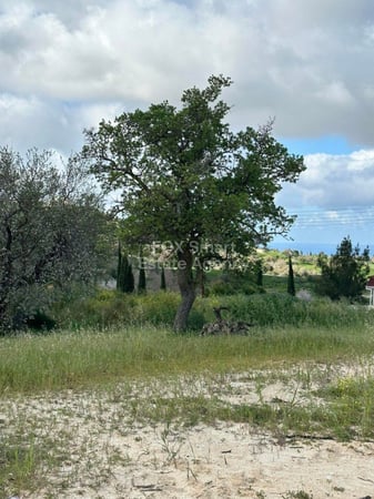 Land in Armou - view 1