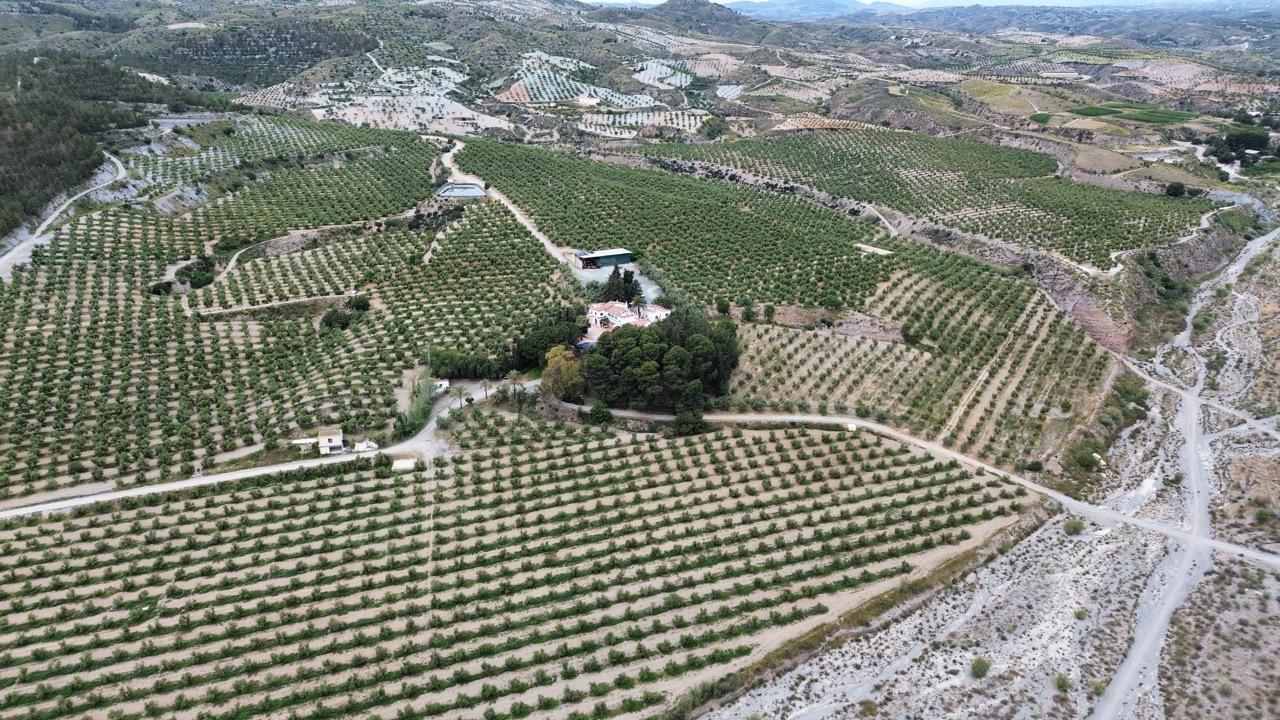 House in Nogalte - Image 3