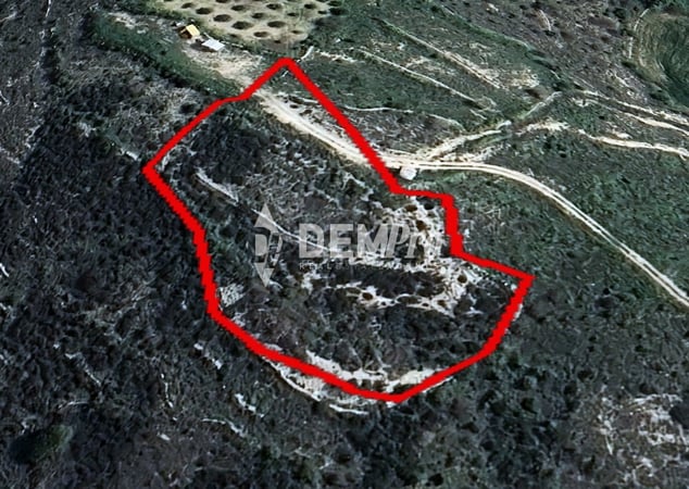 Land in Marathounta - view 1