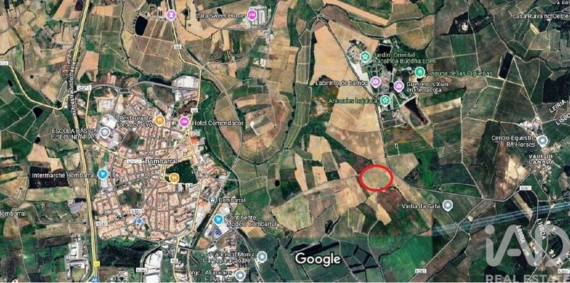 Land in Carvalhal - view 1