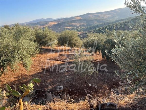 Land in Periana - view 1