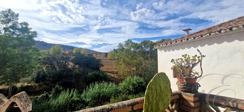 Villa in Riogordo - view 1