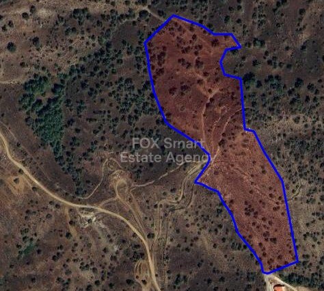 Land in Evrychou - view 1