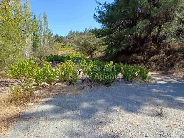 Land in Agridia - view 1