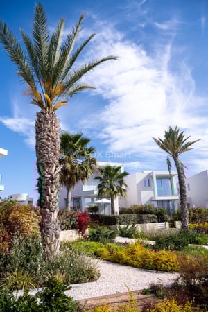 House in Pegeia - view 1