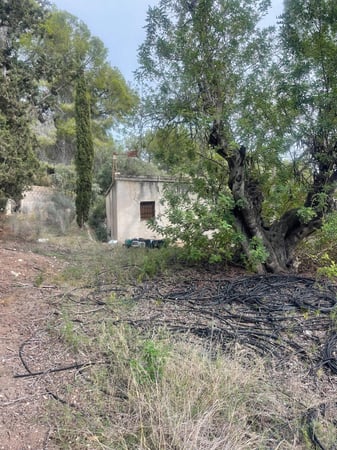 Land in l'Alfas del Pi - view 1
