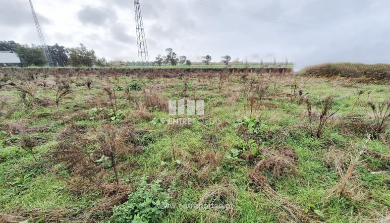 House in Vila Nova da Telha - view 1