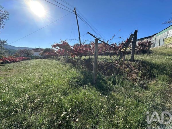 Land in Fornelos - view 1