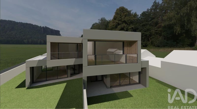 House in Sao Vicente de Pereira Jusa - view 1