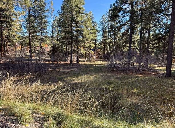 House in La Plata County - view 1