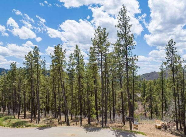 House in La Plata County - view 1