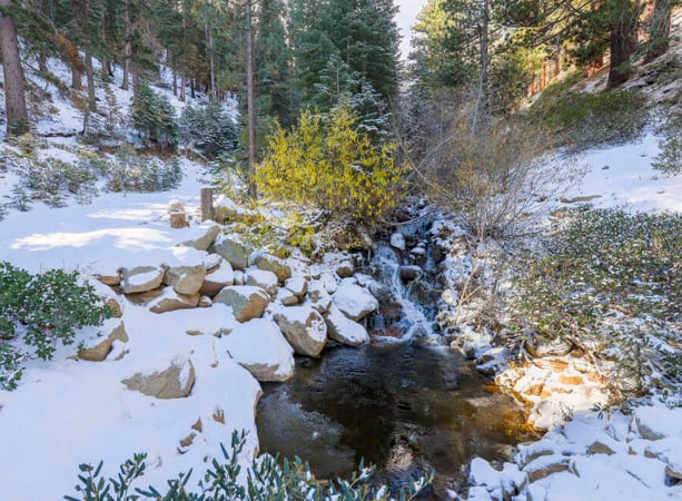 House in Washoe City - view 1