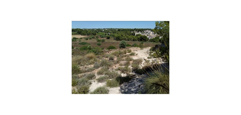 House in El Pinar de Campoverde - view 1