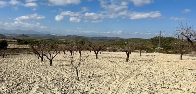 House in Mula - view 1