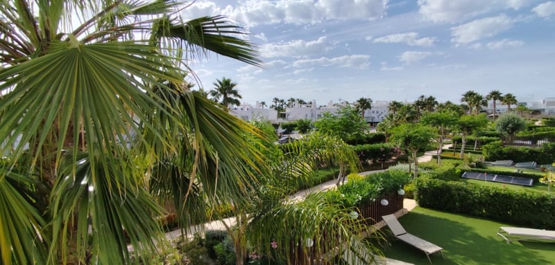 Apartment in Jacarilla - view 1