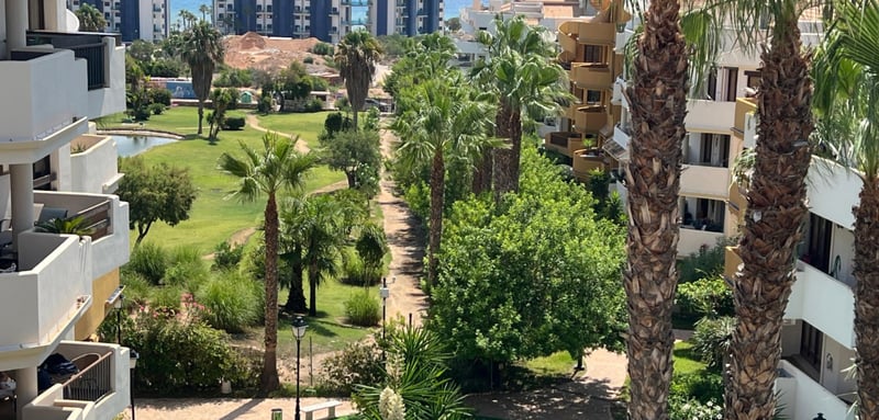 Apartment in Torrevieja - view 1