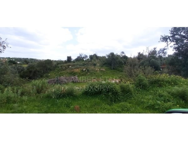 Farm, Ranch or Equestrian in Guia - view 1