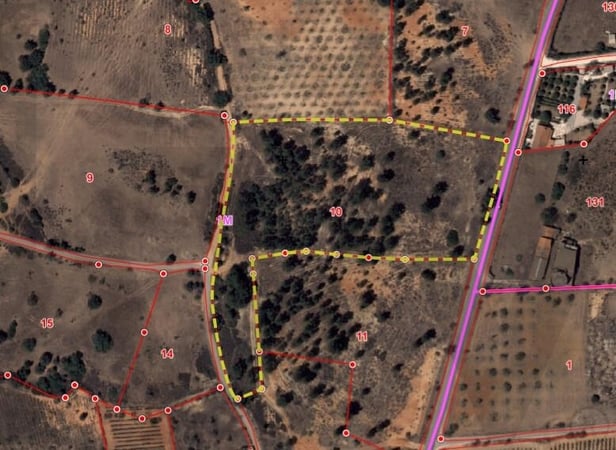 Land in Silves - view 1