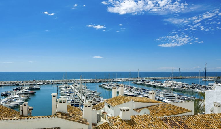 House in Nueva Andalucia - view 1