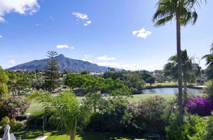 House in Nueva Andalucia - view 1