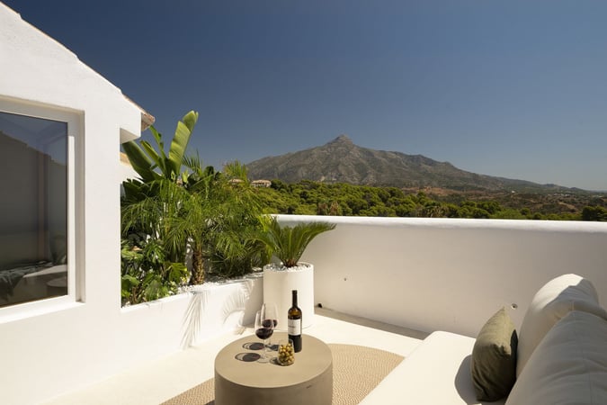 House in Nueva Andalucia - view 1