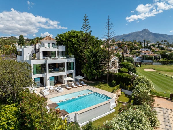 House in Nueva Andalucia - view 1