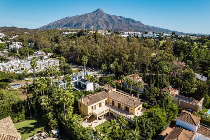 House in Nueva Andalucia - view 1