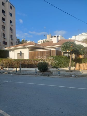 Land in Chryseleousa - view 1