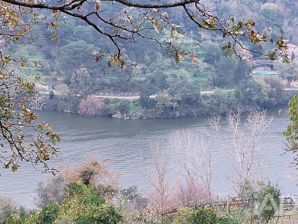 Land in Sao Cristovao de Nogueira - view 1