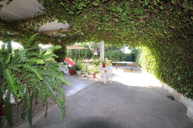 House in Albatera - view 1