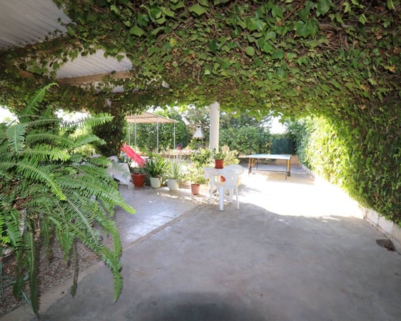 House in Albatera - view 1