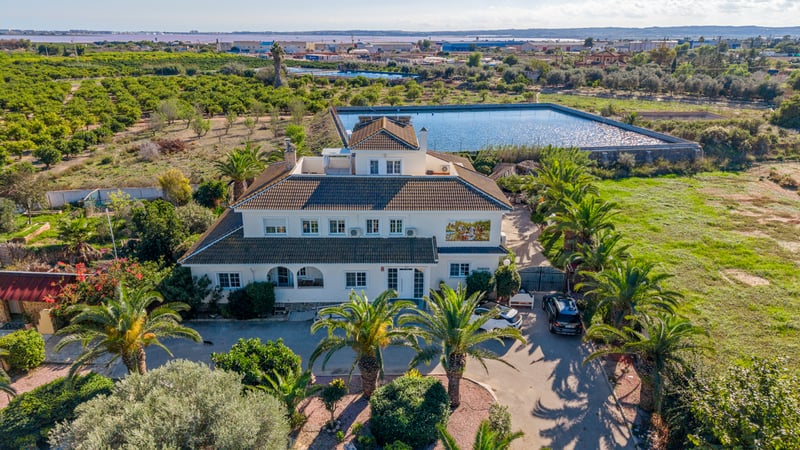 House in Los Montesinos - view 1