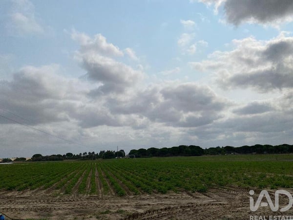 Land in Pegoes - view 1