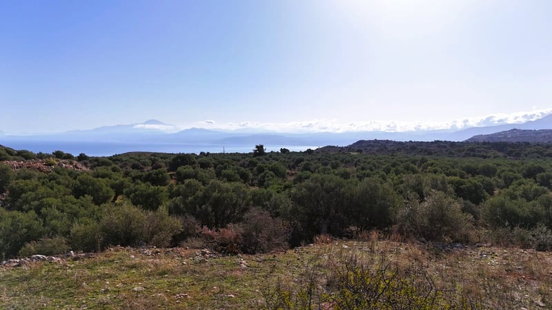 Land in Drapanos - view 1