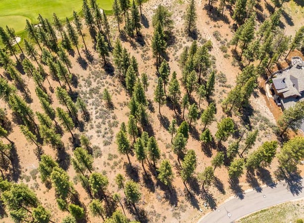 House in Carson Colony - view 1