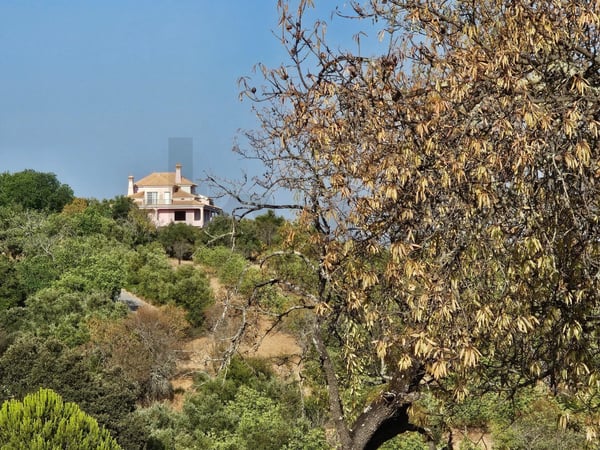 Land in Loule - view 1