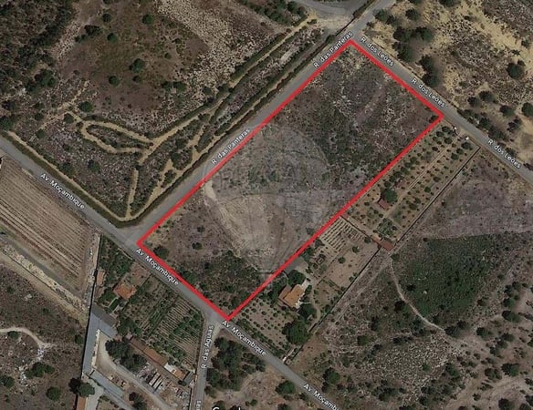 Land in Quinta do Anjo - view 1