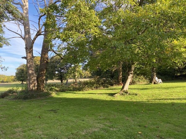 House in Bussiere-Poitevine - view 1