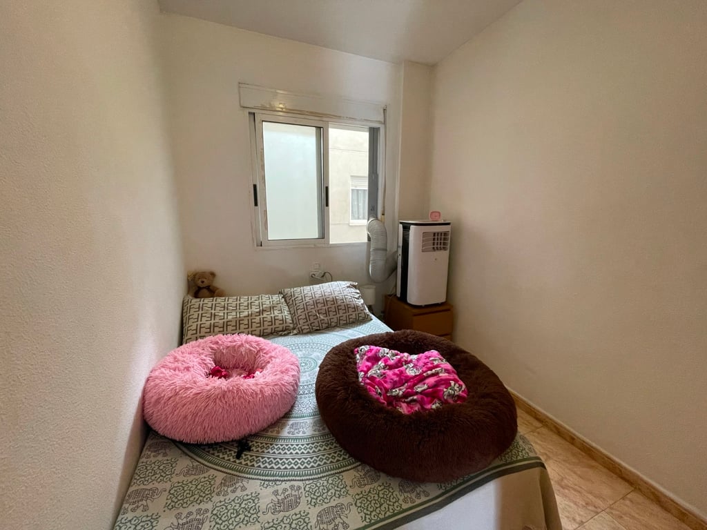 Apartment in Torrevieja - Image 3